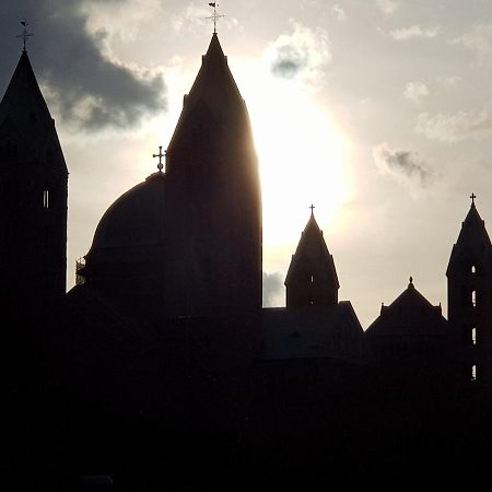 Апартаменты Wohnen Direkt Am Rhein, Zentrums- Und Domnah, 55Qm Шпейер Экстерьер фото